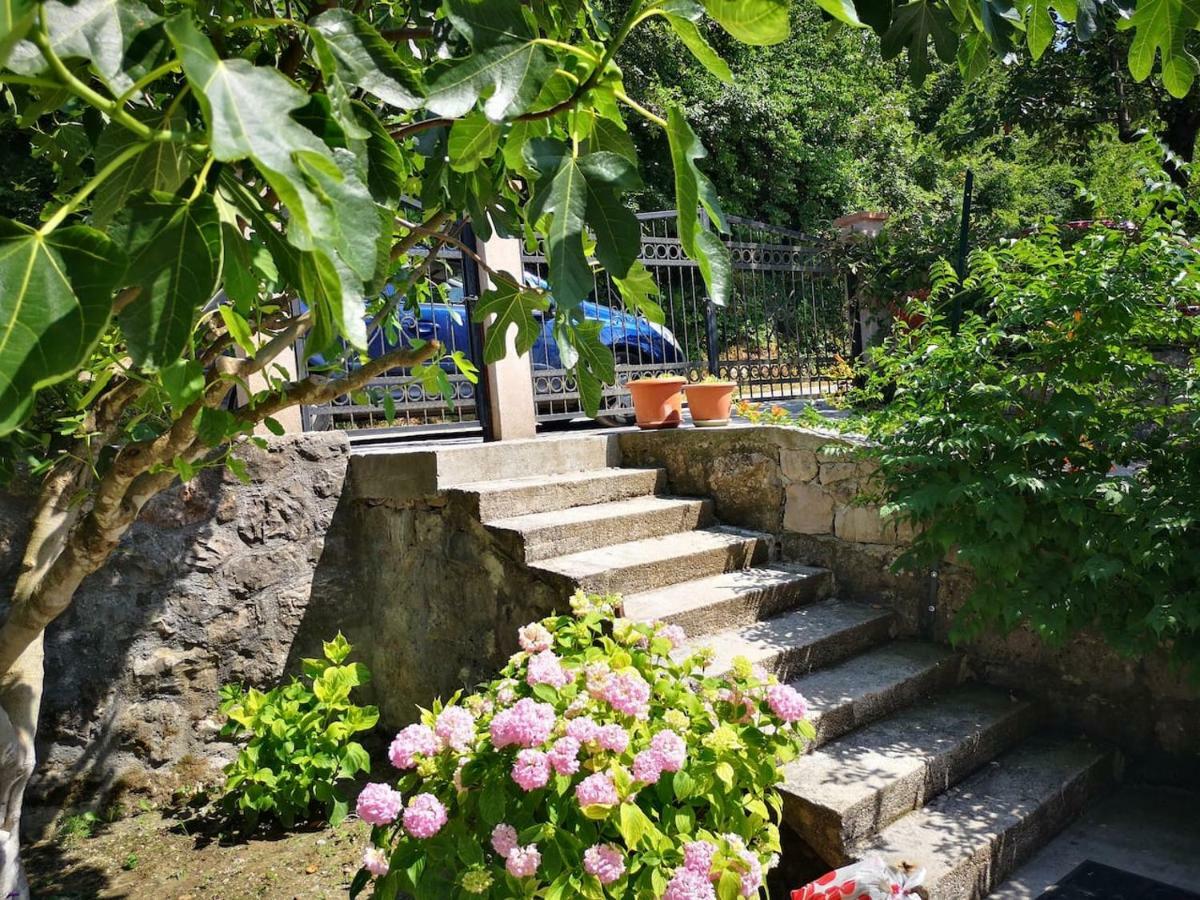 Guest House Majstorina Virpazar Extérieur photo